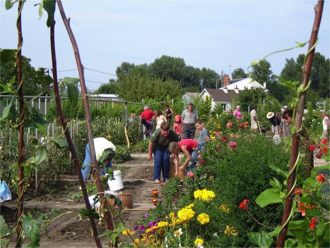 Le jardin de Saint Denis en Val - © SHOL